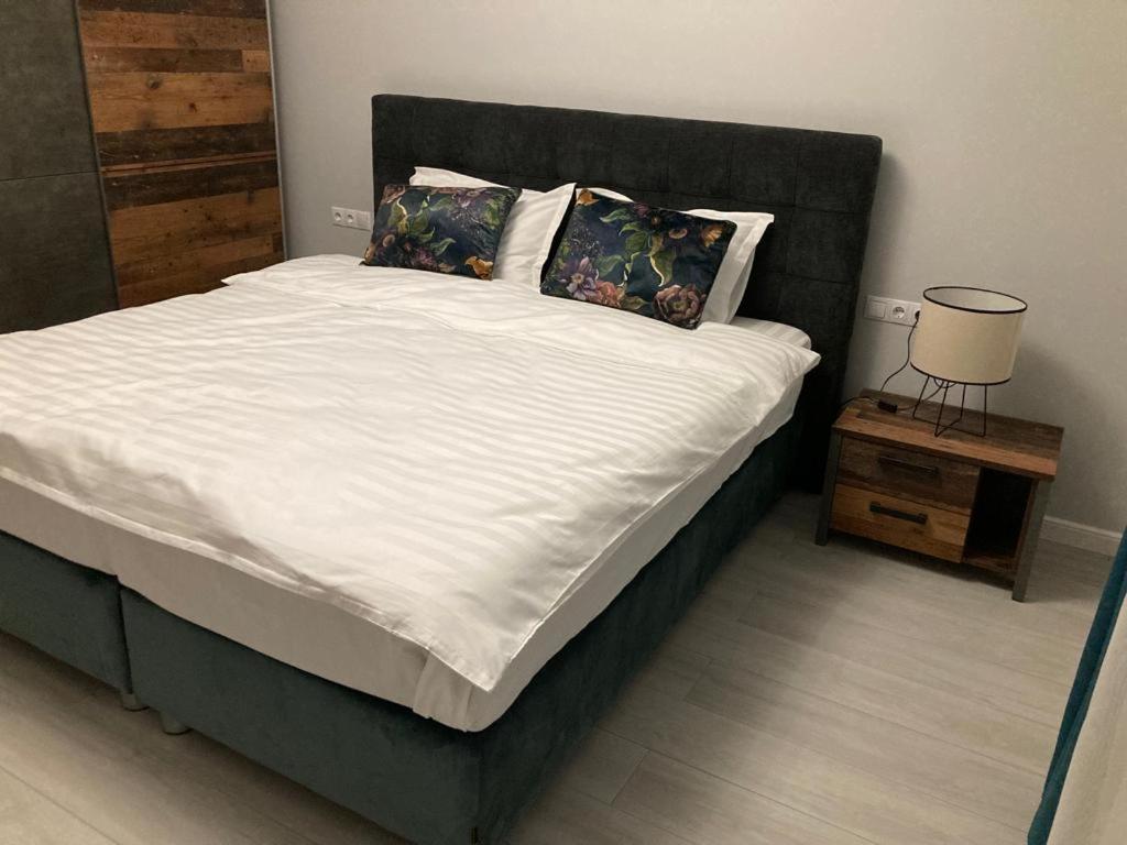 Sibiu Ezonia Central Apartment מראה חיצוני תמונה